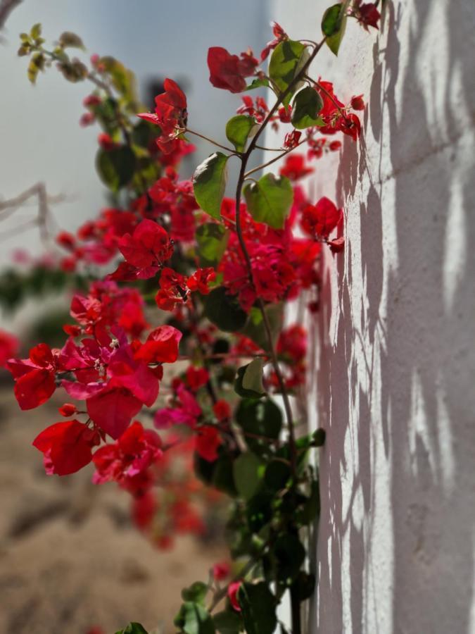 Casa Vivi Fuerteventura Corralejo Exterior foto